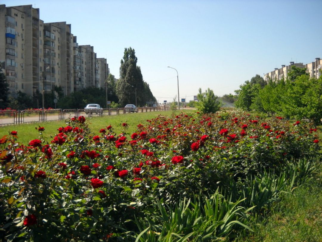 Армянск. Армянск город в Крыму. Город Армянск достопримечательности. Армянск Крым площадь. Армянск Крым достопримечательности.